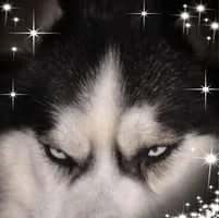 Зорница Максимова